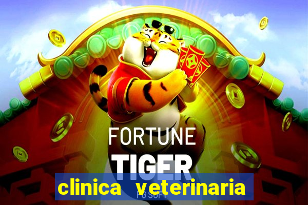 clinica veterinaria cuidar betim