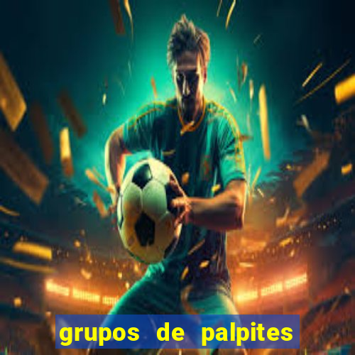 grupos de palpites de futebol whatsapp