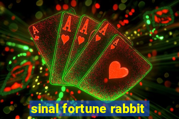 sinal fortune rabbit