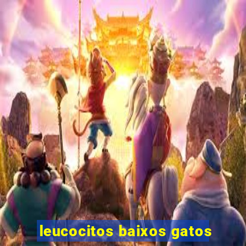 leucocitos baixos gatos