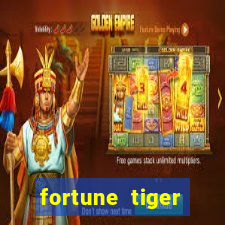 fortune tiger plataforma nova