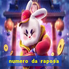 numero da raposa jogo do bicho