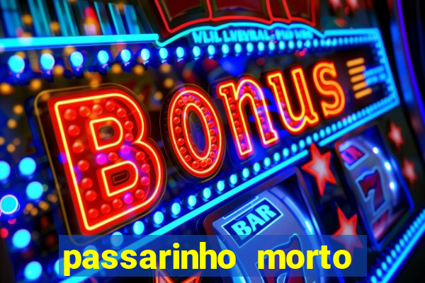 passarinho morto significado espiritual