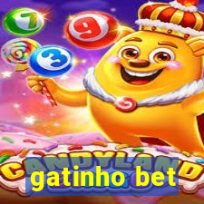 gatinho bet