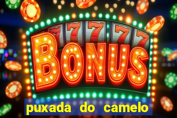 puxada do camelo jogo do bicho