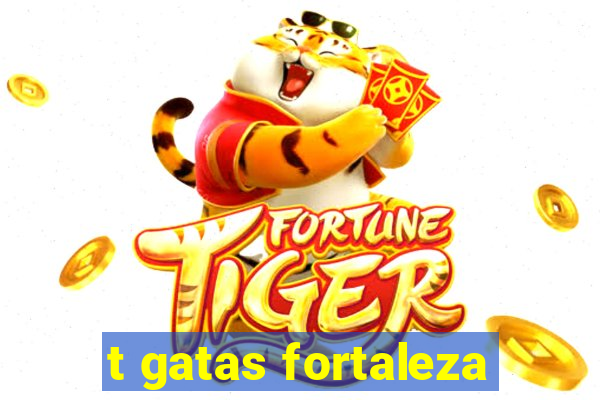 t gatas fortaleza